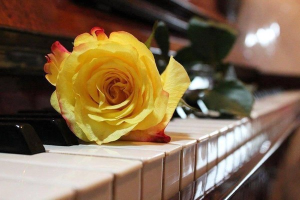 Вечер фортепианной музыки «Музыкальные горизонты»