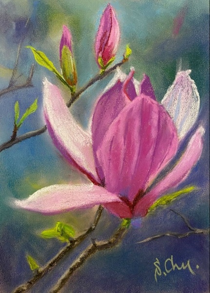 22.04 в 18.30 Мастер-класс "Магнолия", пастель.