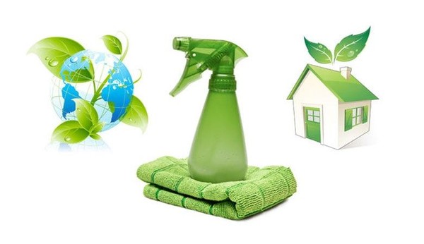 Час информации «Экологические советы: экология дома и быта»