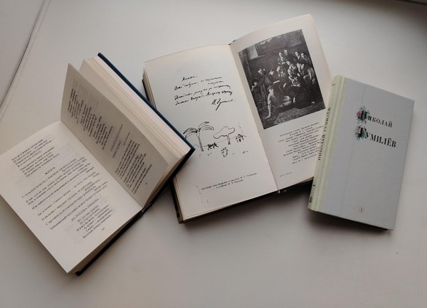 Лекция «Николай Гумилёв: поэт и воин»