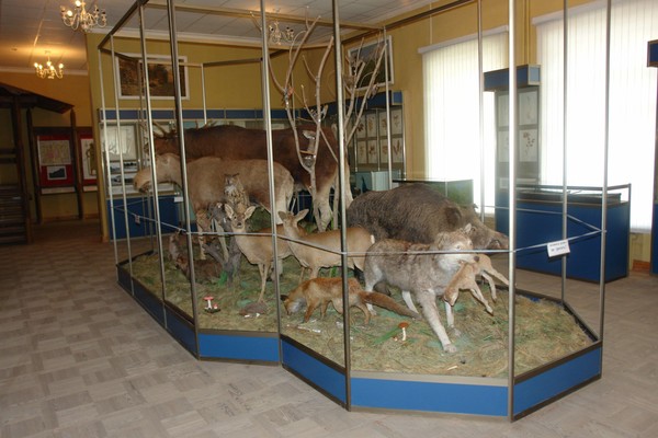 Музейный урок «В мире животных»
