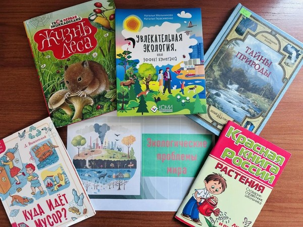 Шок-урок «Экологические проблемы мира»