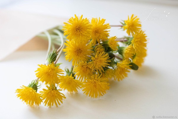Мастер – класс из бумаги «Одуванчик»
