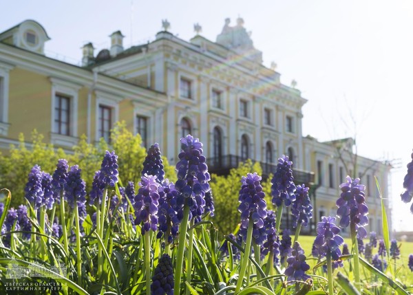 Экспозиция Дворцового сада