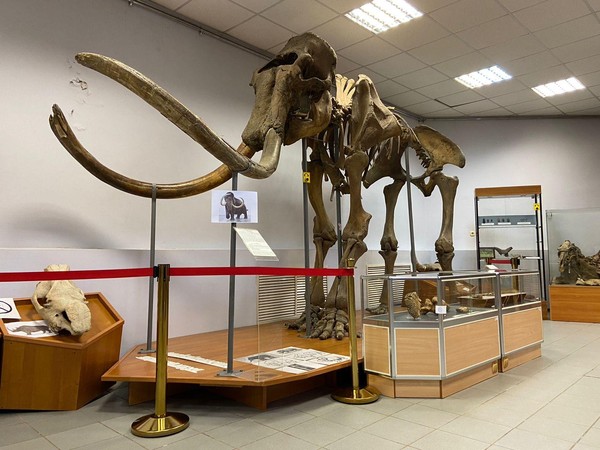 Экскурсия по постоянной экспозиции Музея народов Севера имени Ем. Ярославского