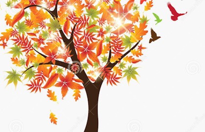 Кот Котофеич и Чудо дерево