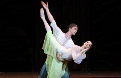 Каменный цветок