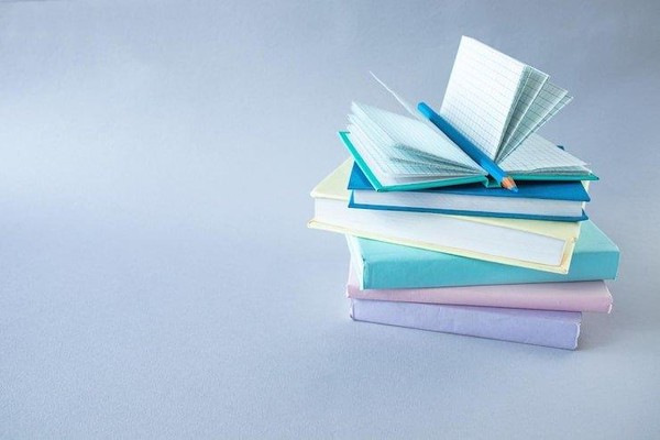 «Язык – живая душа народа»