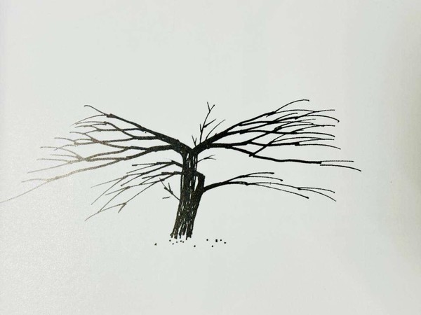 Спектакль «Посадить дерево»