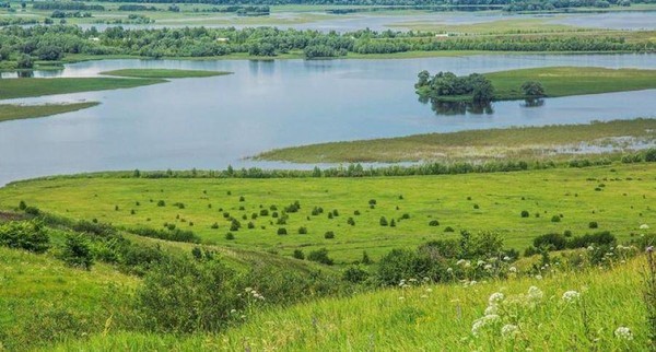 Концерт «Мелодии родного края»