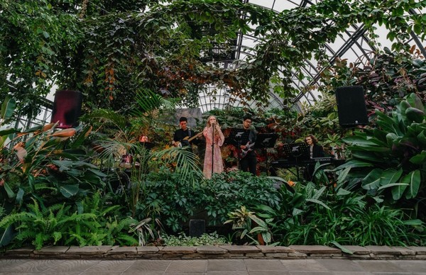 Музыка в оранжерее Таврического сада