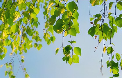 Программа по патриотическому воспитанию для школьников «Я люблю тебя, Россия»
