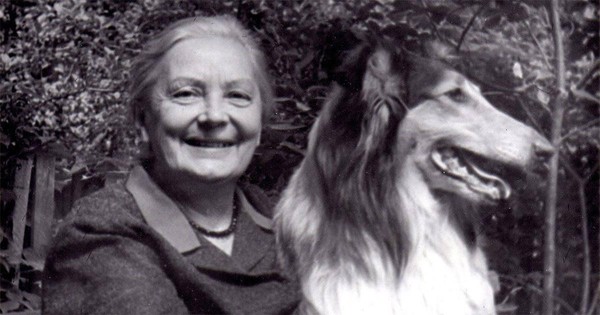 Экологическое путешествие «Зоопарк Нины Павловой»