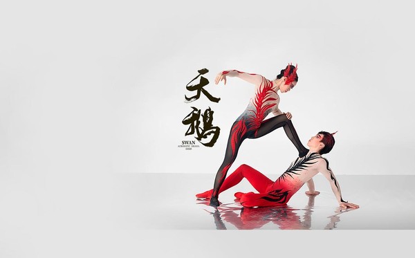 Акробатическая драма «Лебедь»