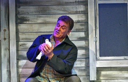 Любовь и голуби