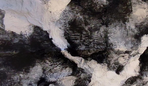 Выставка «Марина Иванова «Дикое и хрупкое»