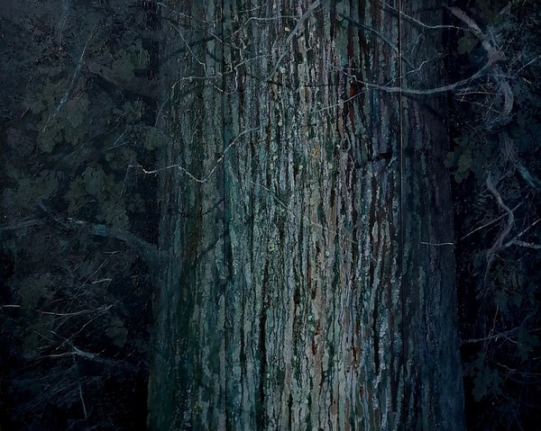 Антон Братыкин «Свидетель времени»