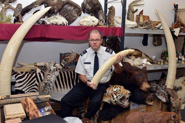 Выставка «Сокровища контрабандистов»