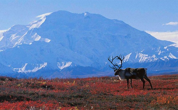 Весенний фестиваль «Праздник народных традиций и культур» «Эхо Севера»