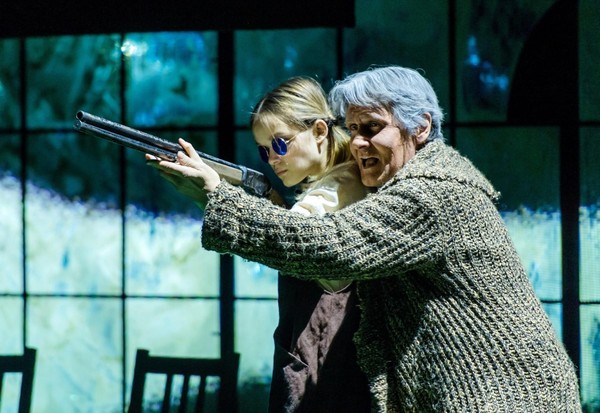 Спектакль «Дикая утка»