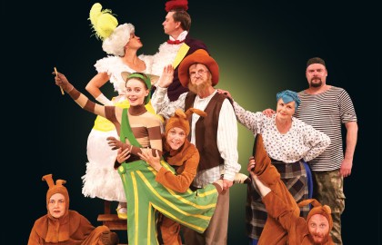 Новые приключения Петсона и Финдуса