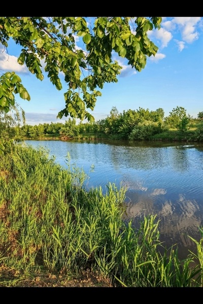 Вело прогулка! Троицкое.