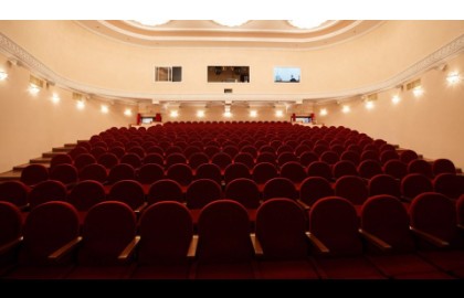 Гадкий утенок