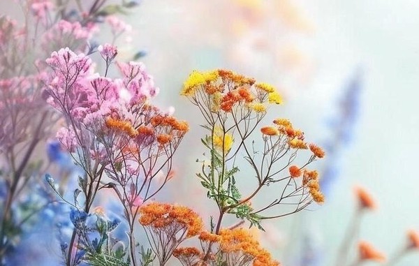 Открытый мастер-класс «Барокко»