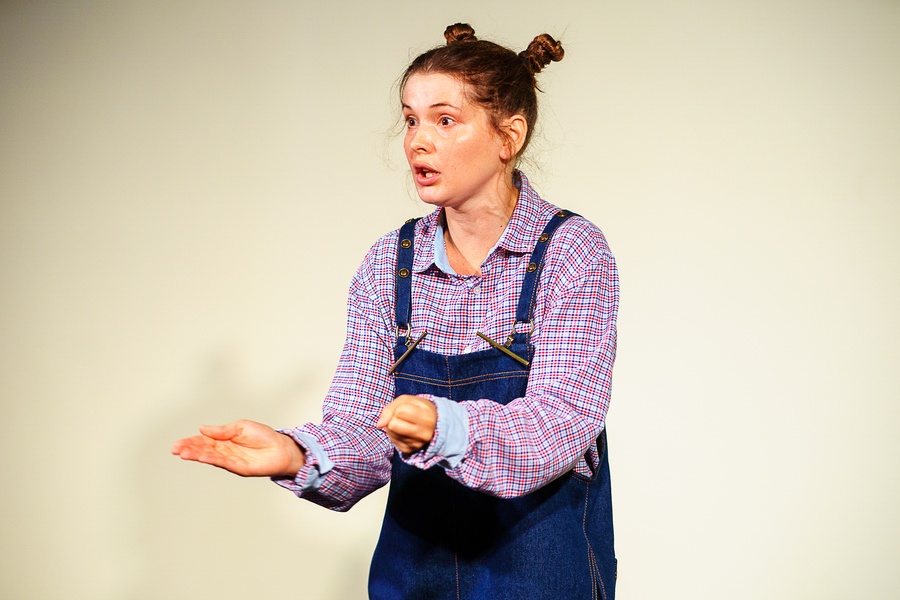 Н. Носов. Веселые истории