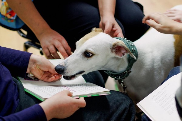 Хвостатые чтения