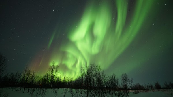 Лекция «Северное сияние: феерия света»