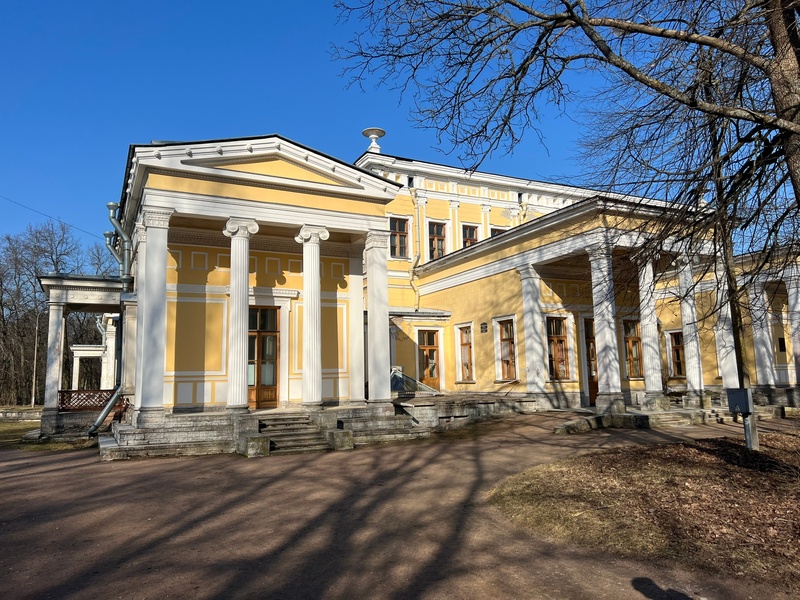 Юлия Свенцицкая