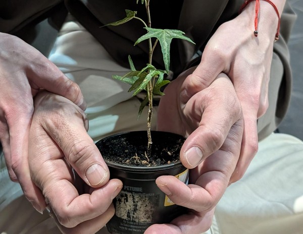 <<Бедный ловелас>>. Сцены из жизни по роману Ф. Достоевского <<Бедные люди>> и пьесе В. Семеновского <<Ловелас>>