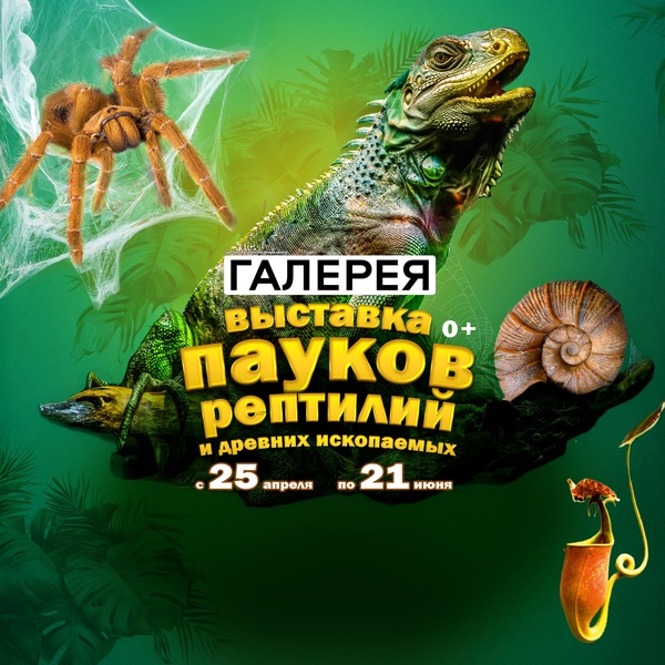 Выставка пауков «Тайна паутины»