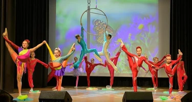 Цирковое представление «Цирк приехал!»