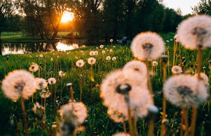 Экскурсии выходного дня