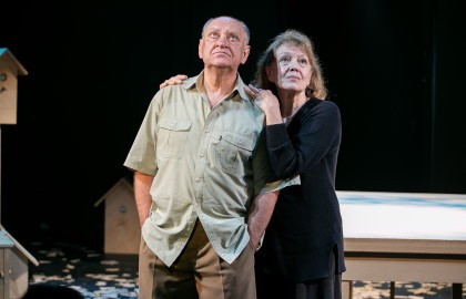 Земля Эльзы