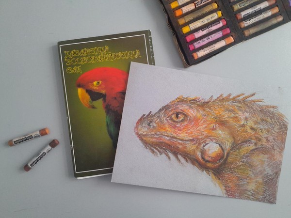 Мастер-класс «Игуана. Казанский Зооботсад»