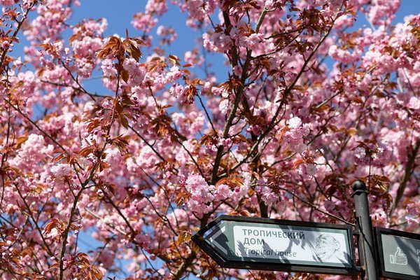 «Не только зоо, но и парк». Экскурсия из цикла «Другой зоопарк»