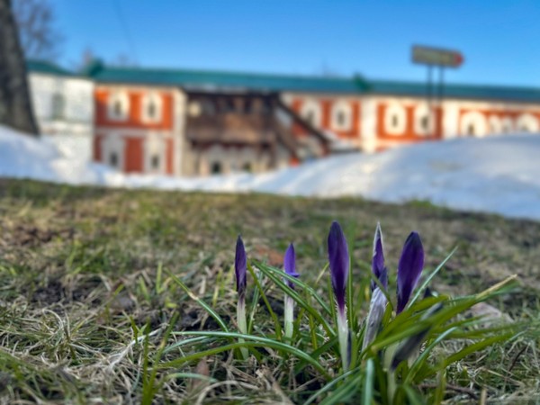 Занятие «Магия ботаники» с мастер-классом по росписи гипсовых подносов