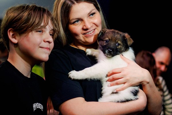 «Щенячья радость: обнимашки, фото и секреты воспитания» — урок зоошколы «Обнимаю лапами»