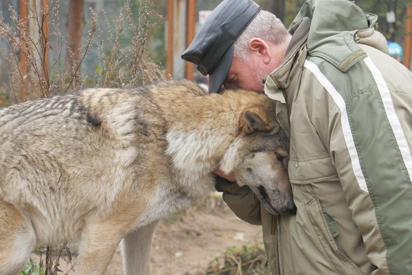 Встреча с демонстрацией животных