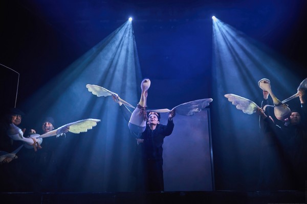 Гадкий утенок