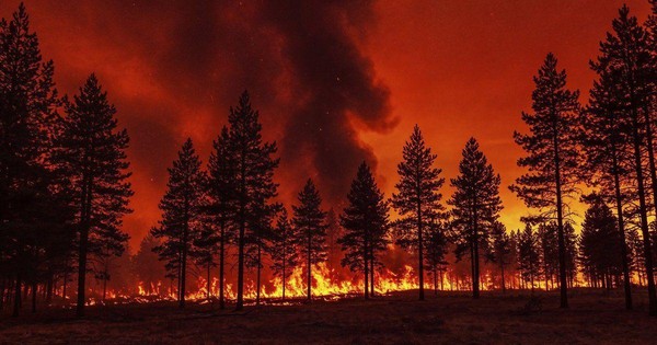Онлайн-проект «Береги природу»