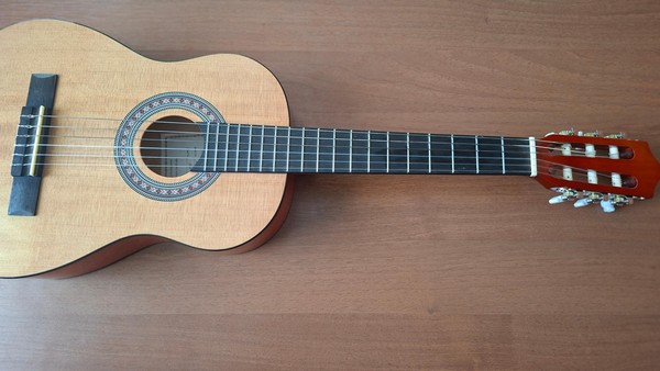 Мастер-класс «Шесть струн»