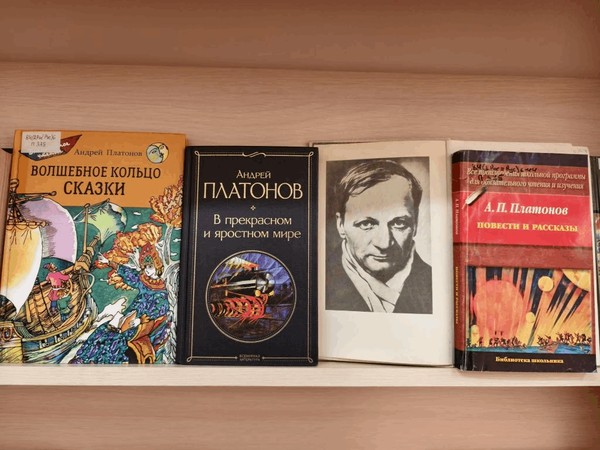 Литературный час «В прекрасном и яростном мире»