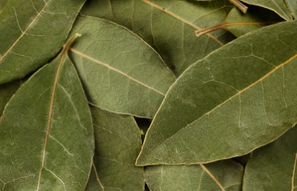 Национальный гастрономический конкурс «Лавры 2.0»