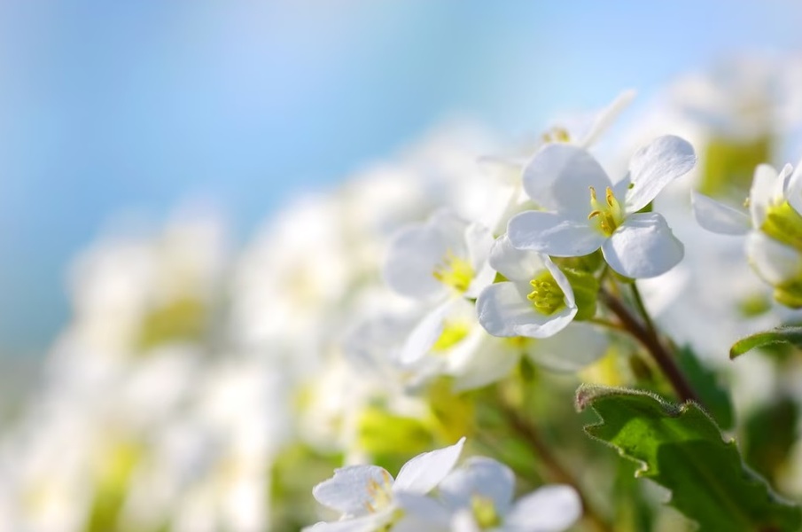 Иевлева Наталья Викторовна