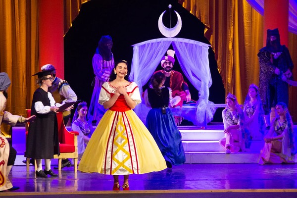 Полоумный Журден