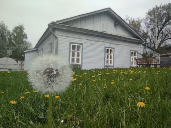 Экскурсия «С днем ангела!»